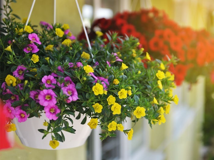 Flower Basket